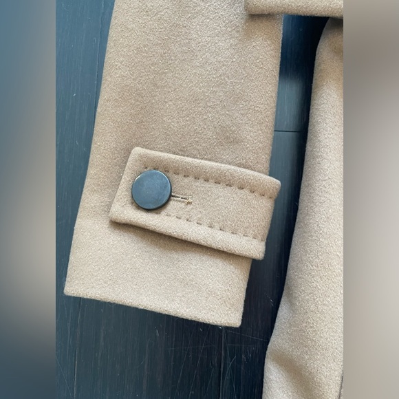 Aritzia Babaton Wool Cashmere Coat - Picture 6 of 7